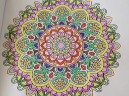 whatsapp bild 2023-07-05 um 14.08.07